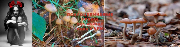 герыч Абдулино