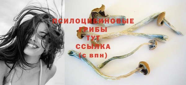 ГАЛЛЮЦИНОГЕННЫЕ ГРИБЫ Абаза