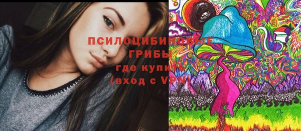 хмурый Абинск