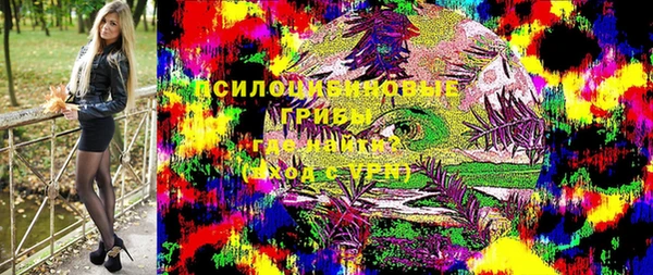 ГАЛЛЮЦИНОГЕННЫЕ ГРИБЫ Абаза
