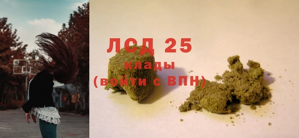 ГАЛЛЮЦИНОГЕННЫЕ ГРИБЫ Абаза