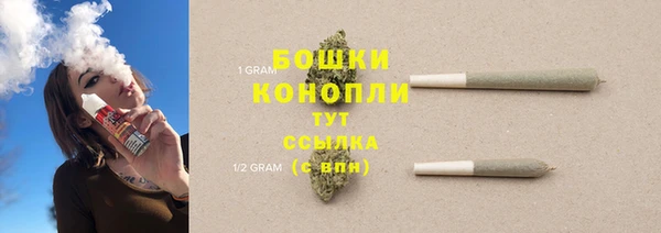 ГАЛЛЮЦИНОГЕННЫЕ ГРИБЫ Абаза