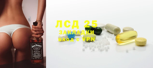 ГАЛЛЮЦИНОГЕННЫЕ ГРИБЫ Абаза