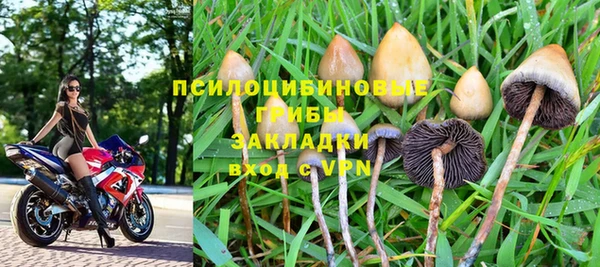 хмурый Абинск