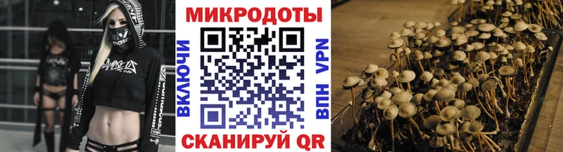 Псилоцибиновые грибы Psilocybine cubensis  Духовщина 